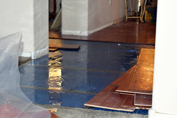 Professional Sewage Cleanup technician working in Pine, CO